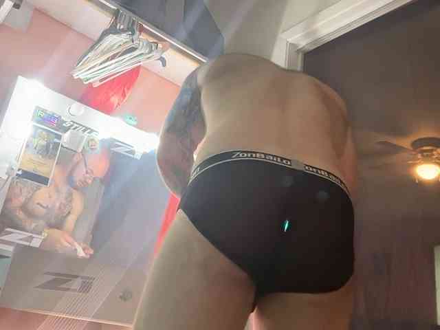 BearChubby300 BearChubby300