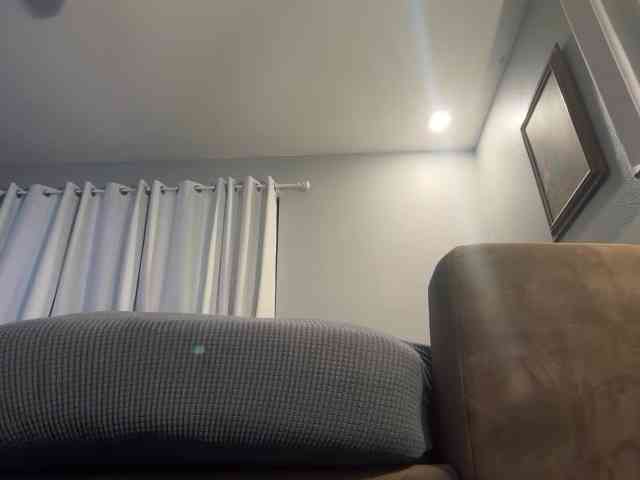 BearChubby300 BearChubby300