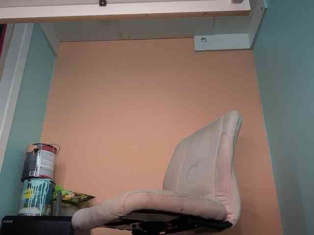 BearChubby300 BearChubby300