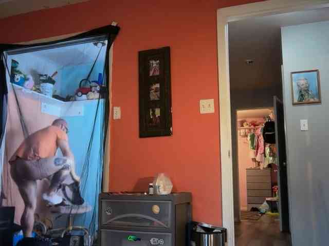 BearChubby300 BearChubby300