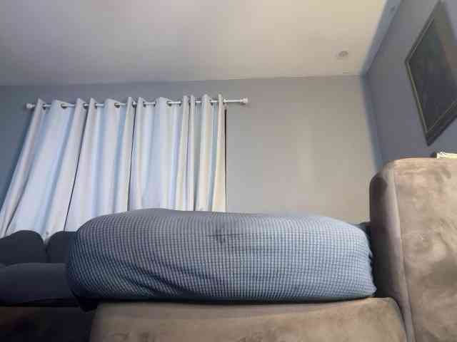 BearChubby300 Live Webcam on BongaCams