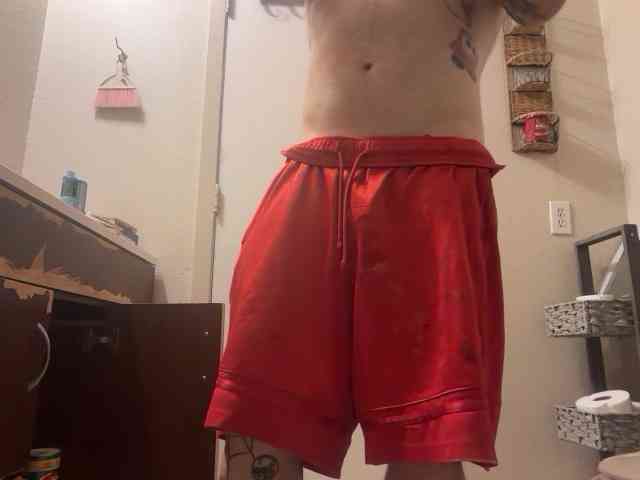 BearChubby300 BearChubby300