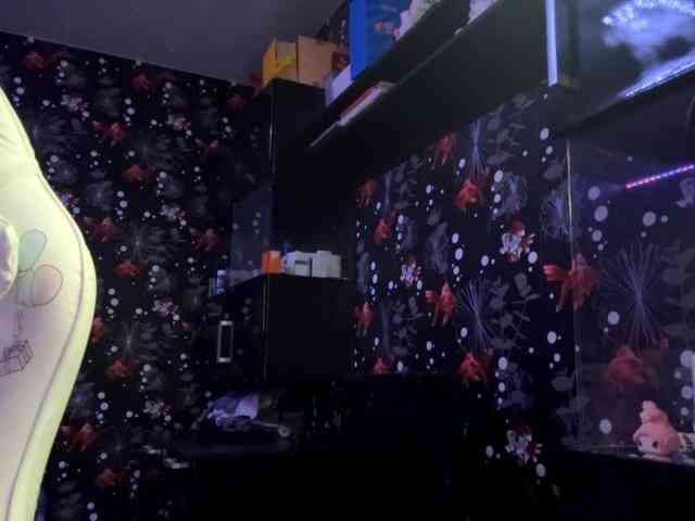 QuianaDearman webcam