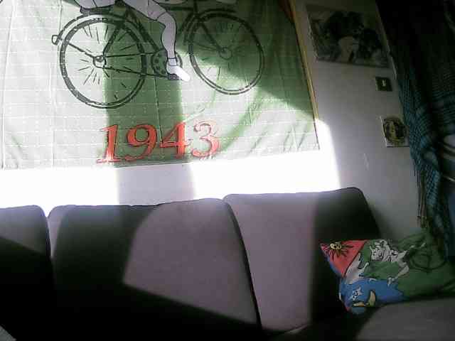 pollonspanishh pollonspanishh