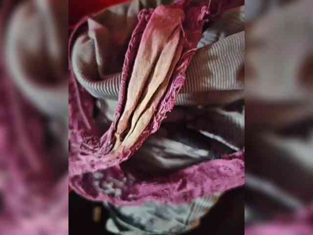 pollonspanishh pollonspanishh