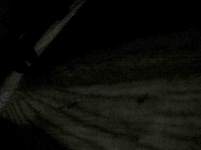 pollonspanishh pollonspanishh