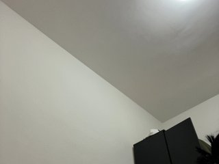 SidneyRoux Porn Show