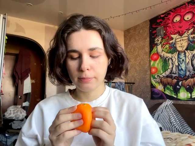 Preview of tranreeber