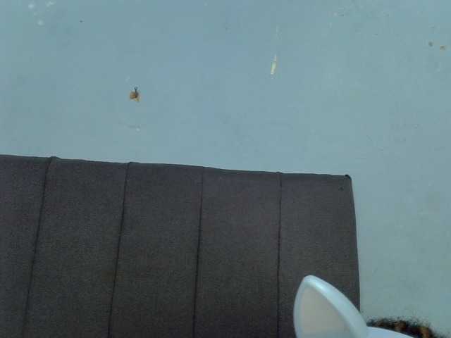 GoldenGoddess1's BongaCams show and profile