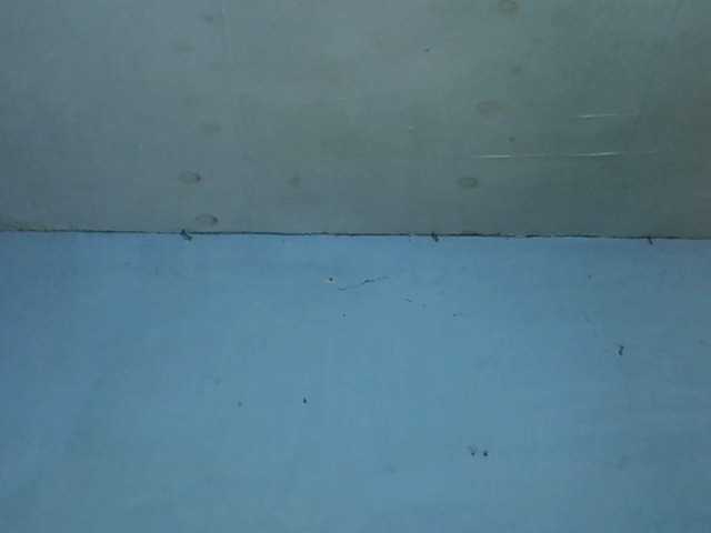 Preview of goldengoddess1