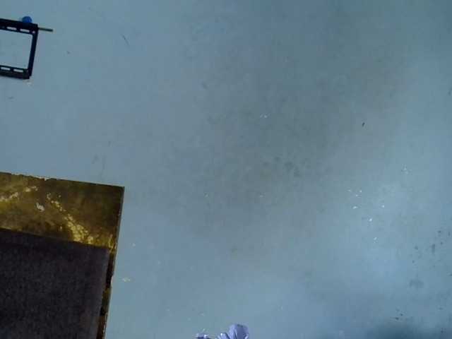 GoldenGoddess1's BongaCams show and profile