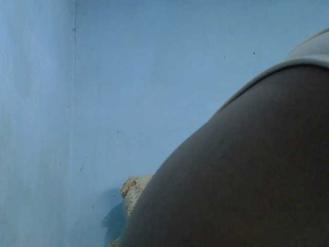 GoldenGoddess1's BongaCams show and profile