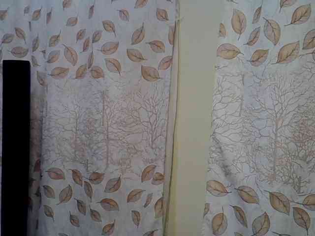 GoldenGoddess1 webcam