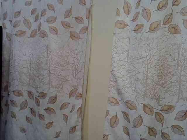 GoldenGoddess1 webcam