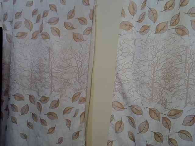 GoldenGoddess1 webcam