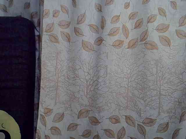 GoldenGoddess1 webcam