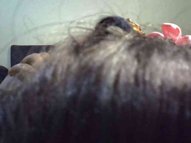 GoldenGoddess1 webcam