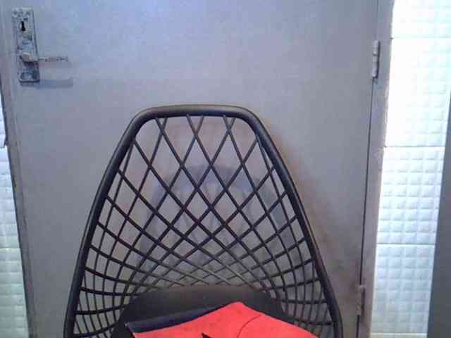 GoldenGoddess1 GoldenGoddess1