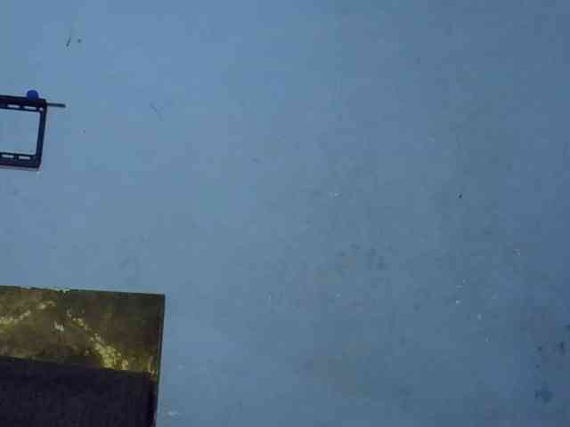 GoldenGoddess1 webcam