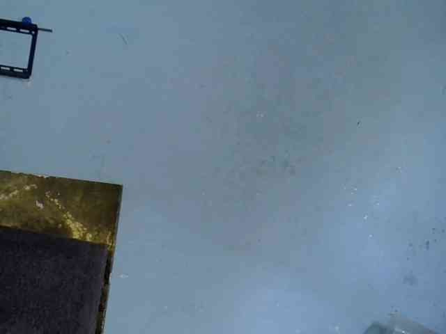 GoldenGoddess1 GoldenGoddess1