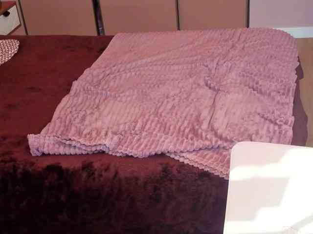 MonikaFoxys MonikaFoxys