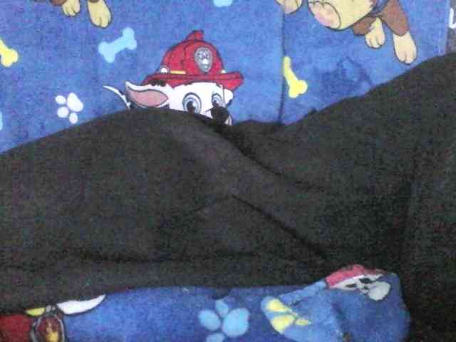 sexxietatiana Live Webcam on BongaCams