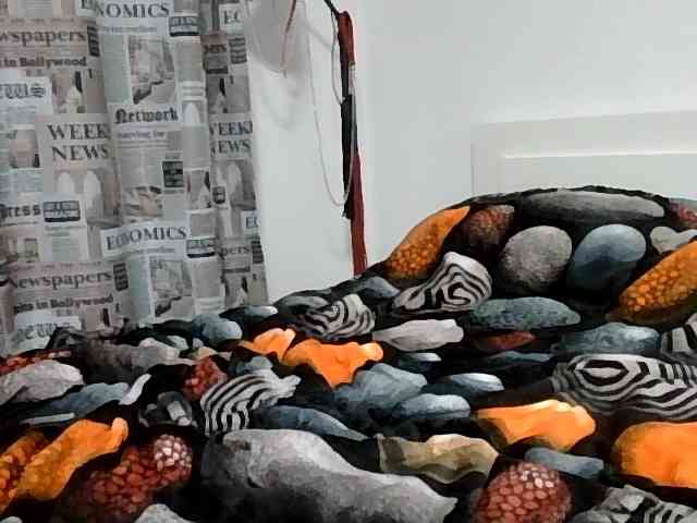 LLeliaMercedes LLeliaMercedes