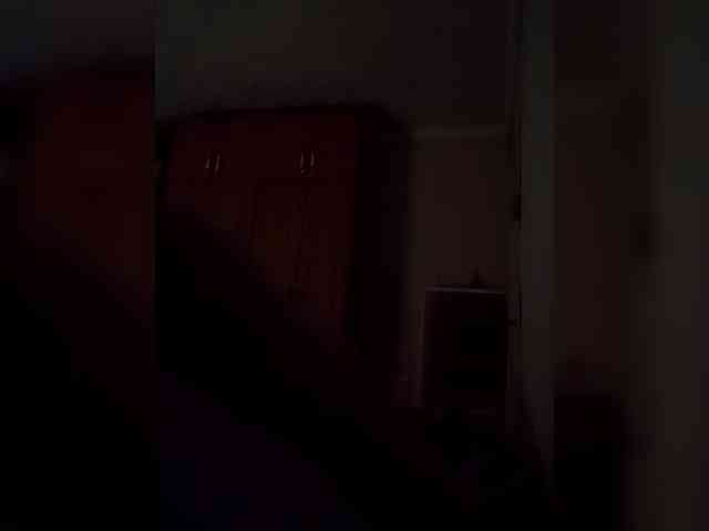 EVGENIi341 EVGENIi341