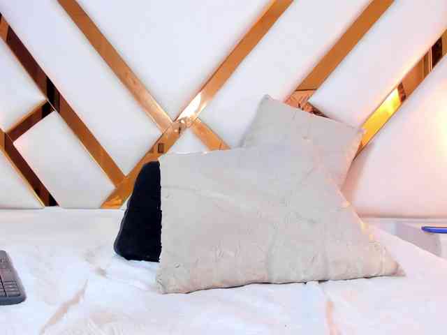 Niicolle-Evanss webcam