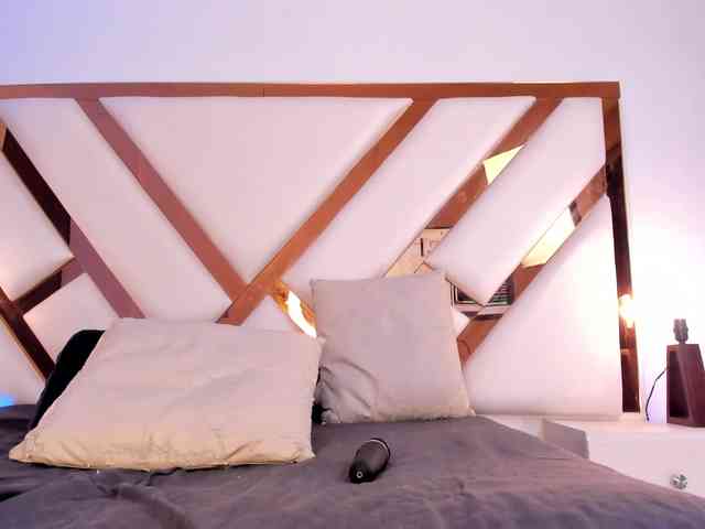 Niicolle-Evanss webcam