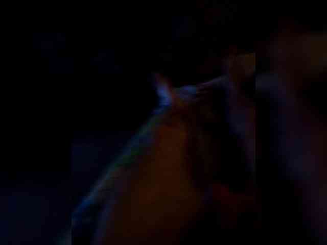 Garry-no-Larisa Live Webcam on BongaCams