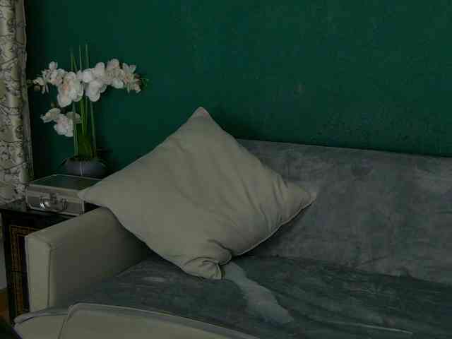 JessieSinn JessieSinn