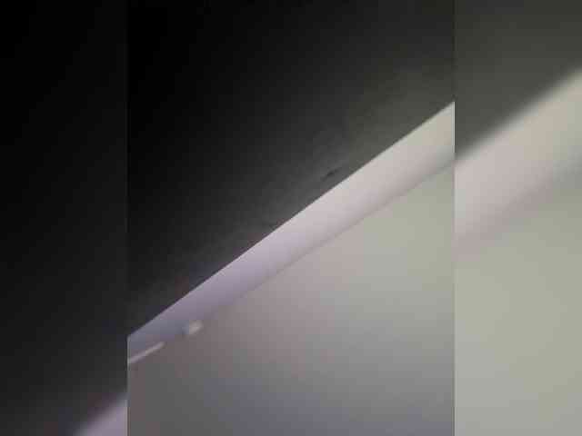 redbonedazzle webcam