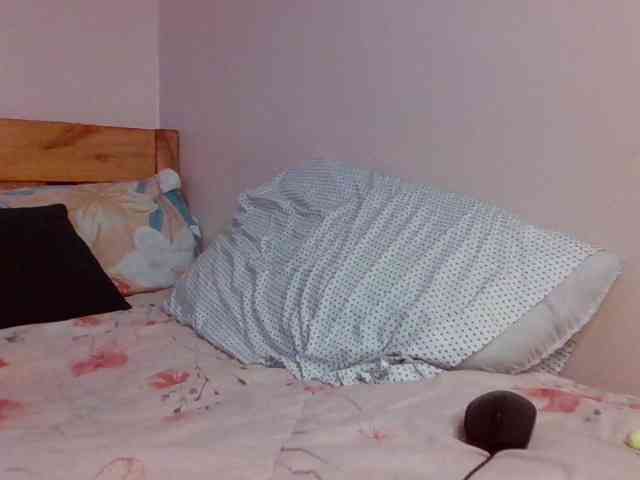 WildFlowerRose Live Webcam on BongaCams