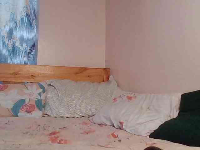 WildFlowerRose WildFlowerRose