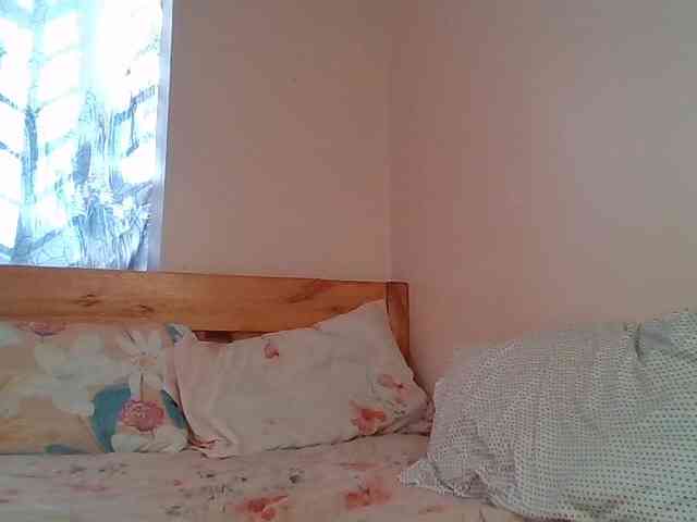 WildFlowerRose webcam