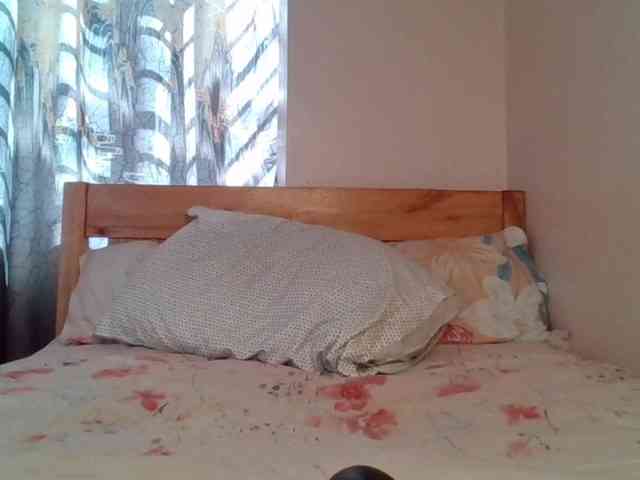 WildFlowerRose webcam