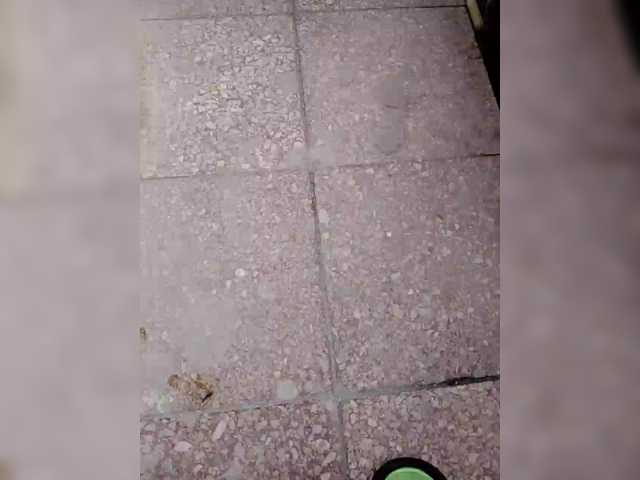 Eva-4's BongaCams show and profile