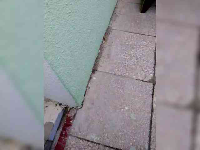 Eva-4 Live Webcam on BongaCams