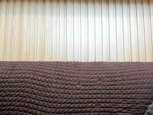 riley-reid-milf webcam