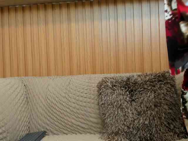 riley-reid-milf riley-reid-milf