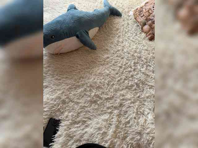 Miki196 Live Webcam on BongaCams