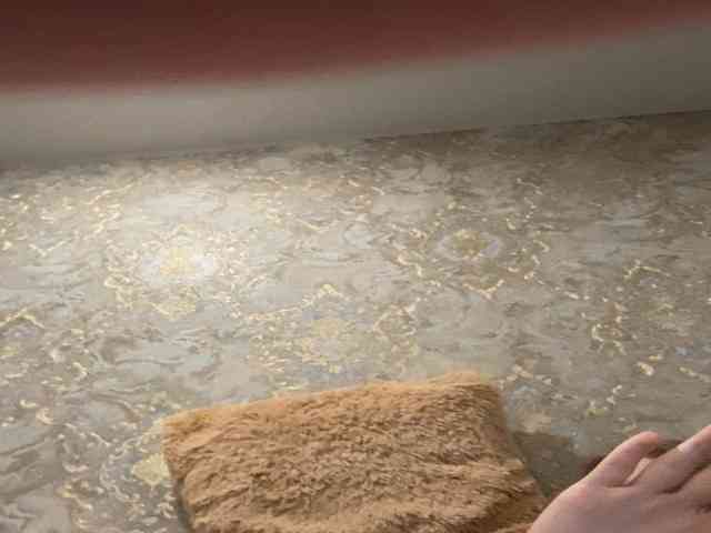 Snezha-murr26a webcam