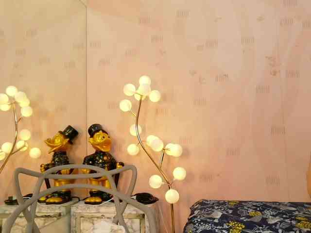 naughtyyindiann webcam