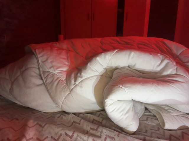 vedima's BongaCams show and profile