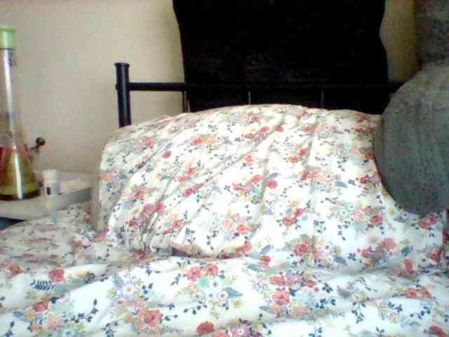 uncircumcise29 uncircumcise29