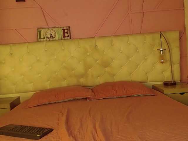 Preview of hamvanessahos