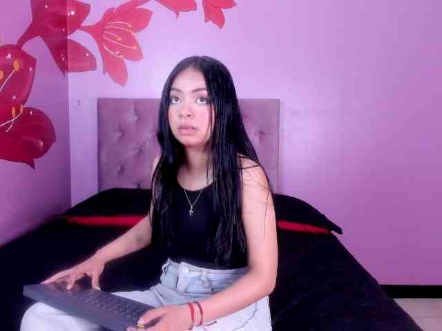 Hamvanessahos webcam