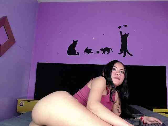 Hamvanessahos webcam