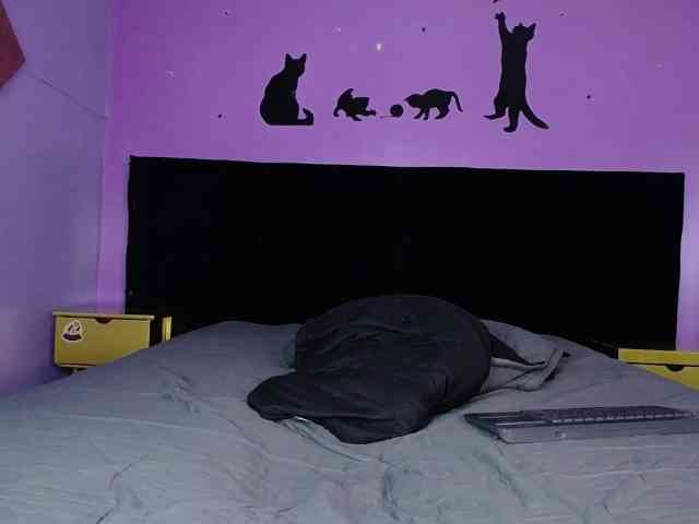 Hamvanessahos webcam